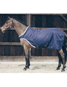 Kentucky Waterproof Walker Rug 2