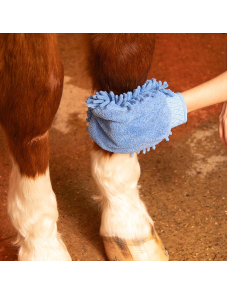 Gants Premier Equine Microfibre Bleu