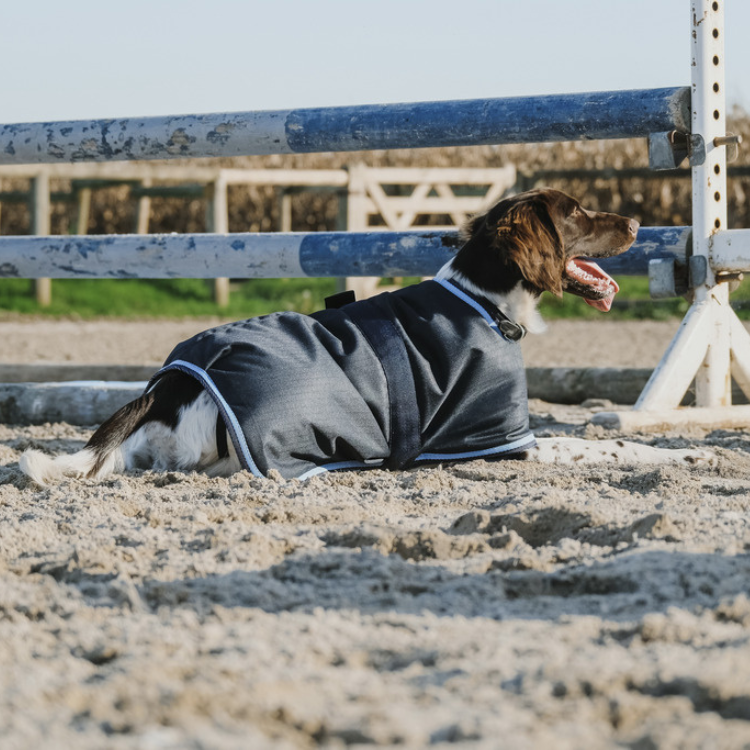 Couverture Pour Chien Riding World Eco MARINE