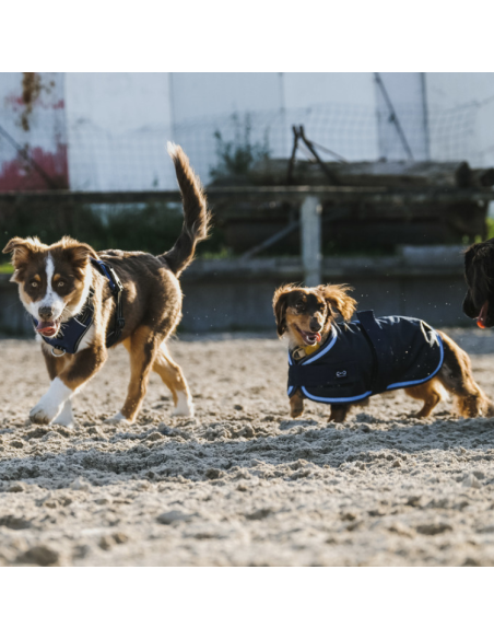 Couverture Pour Chien Riding World Eco MARINE