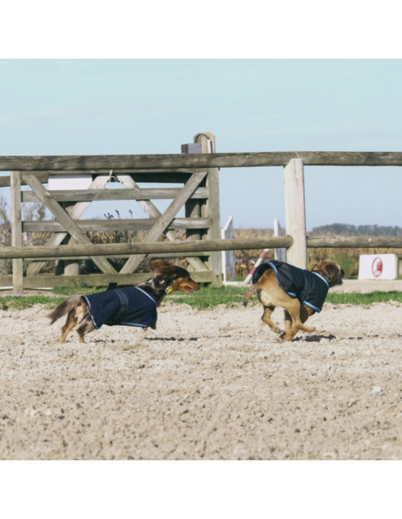 Couverture Pour Chien Riding World Eco MARINE