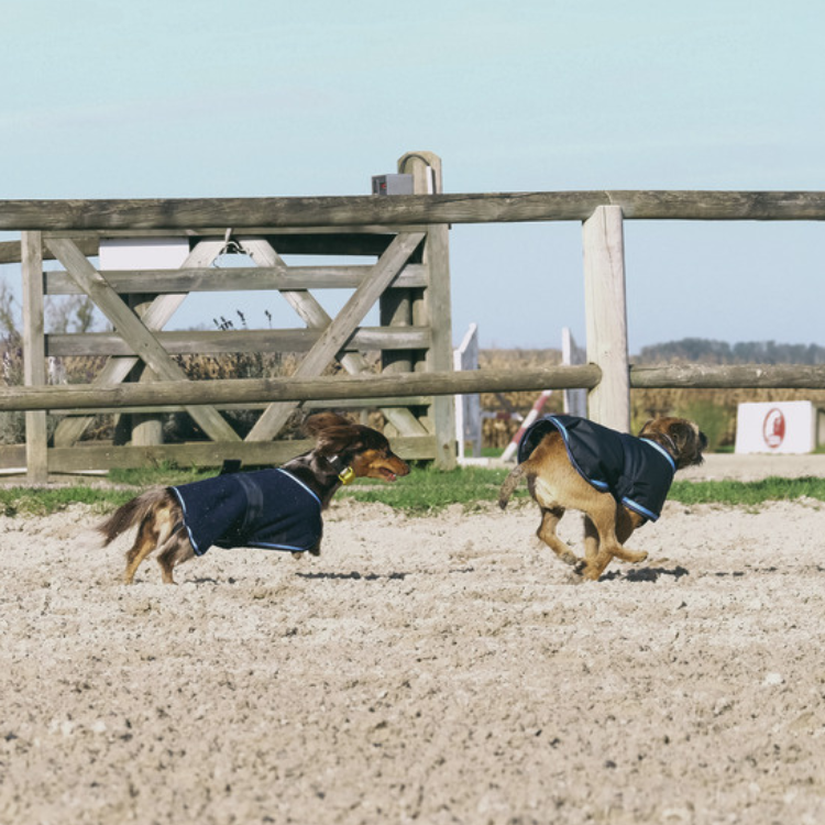 Couverture Pour Chien Riding World Eco MARINE