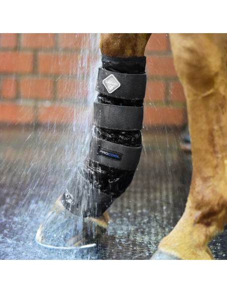 LeMieux ProCool Cold Water Boots