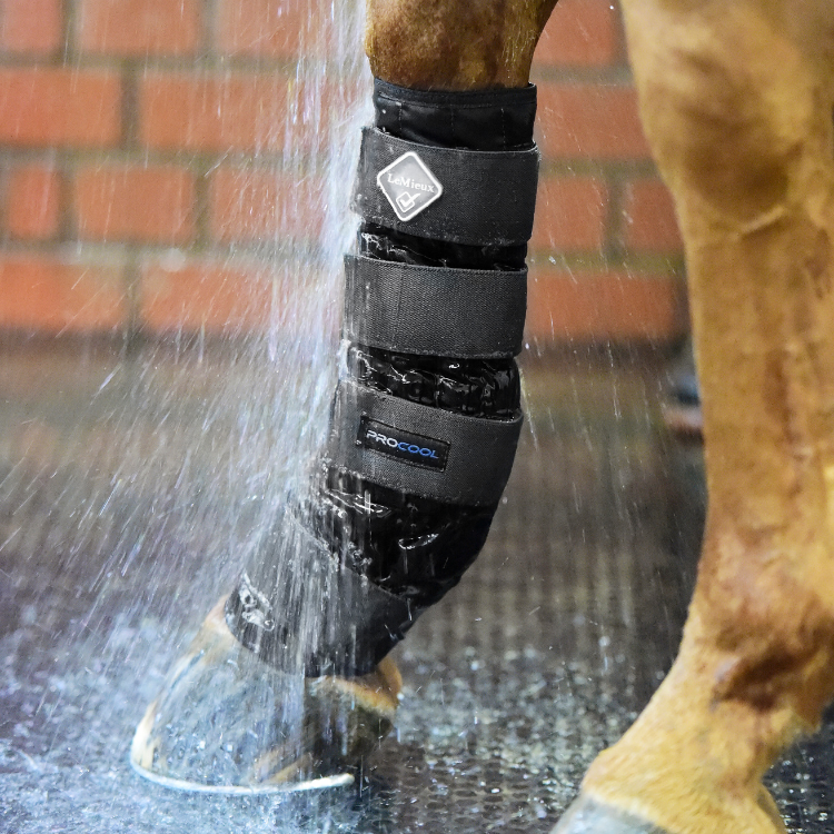 LeMieux ProCool Cold Water Boots