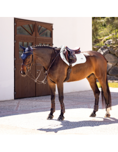 LeMieux Close Contact Loire Memory Jumping Saddle Pad 2