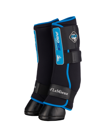 Guêtres LeMieux ProIce Freeze