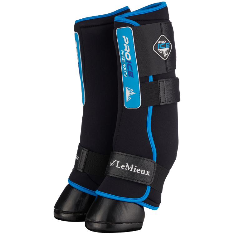 Guêtres LeMieux ProIce Freeze