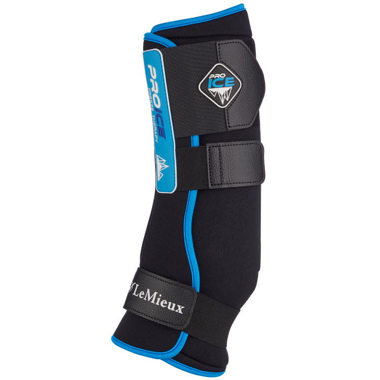 Guêtres LeMieux ProIce Freeze