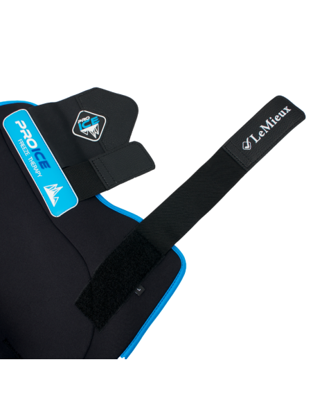 Guêtres LeMieux ProIce Freeze