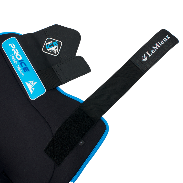 Guêtres LeMieux ProIce Freeze