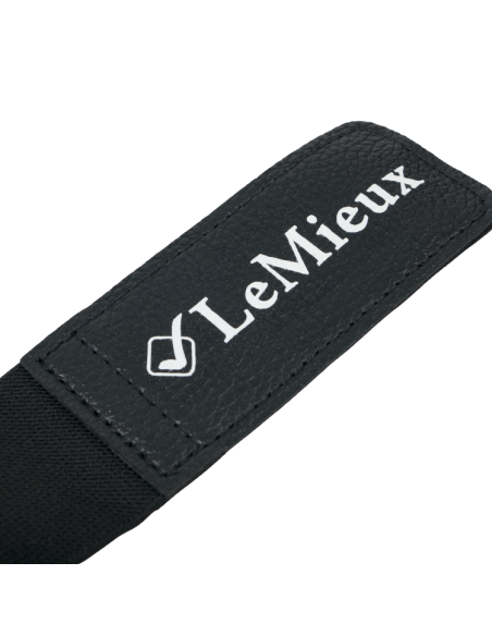 Guêtres LeMieux ProIce Freeze