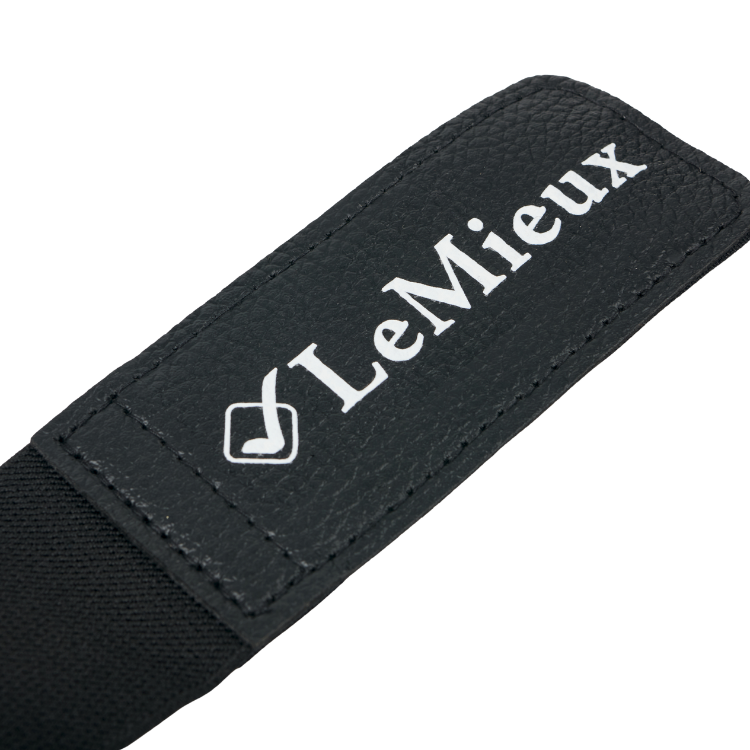 Guêtres LeMieux ProIce Freeze