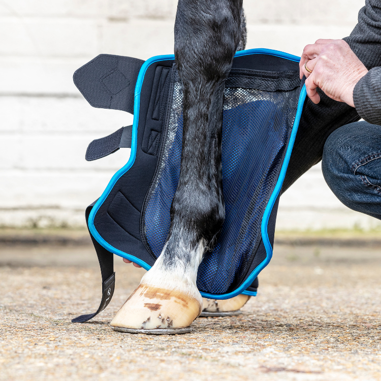 Guêtres LeMieux ProIce Freeze