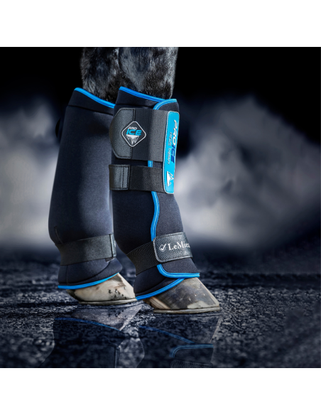 Guêtres LeMieux ProIce Freeze