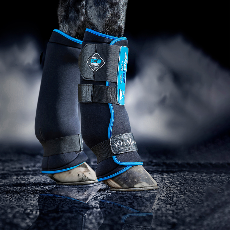 Guêtres LeMieux ProIce Freeze