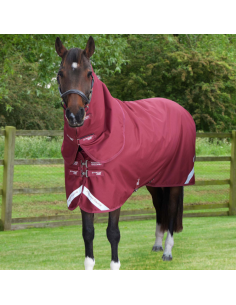 Premier Equine Stratus 400g Turnout Rug With Neck Cover 2