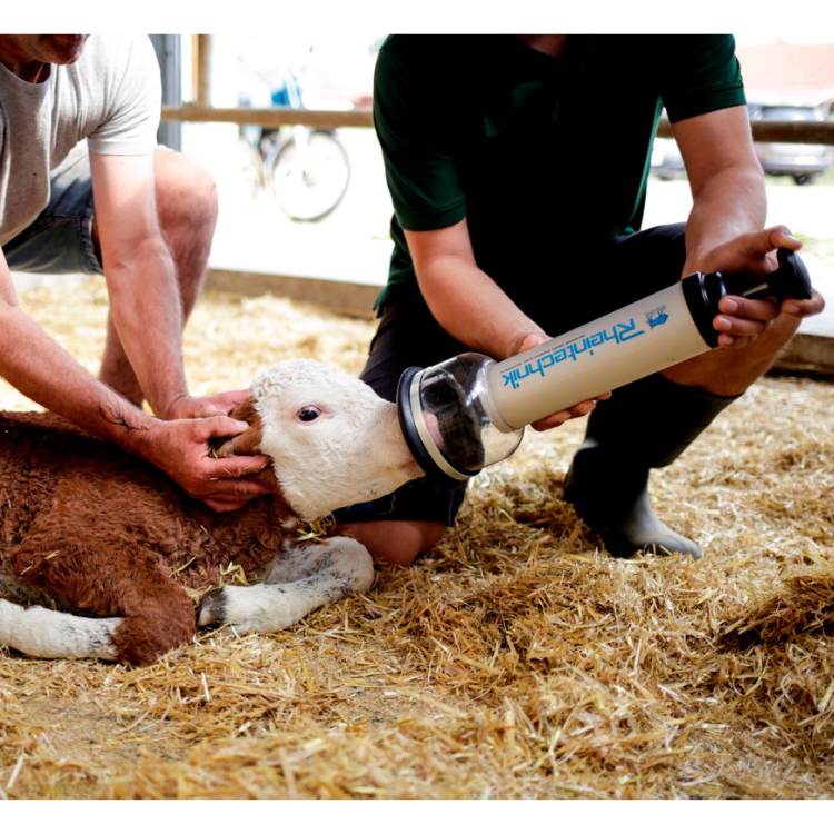 calf resuscitator used for newborn calf breathing assistance