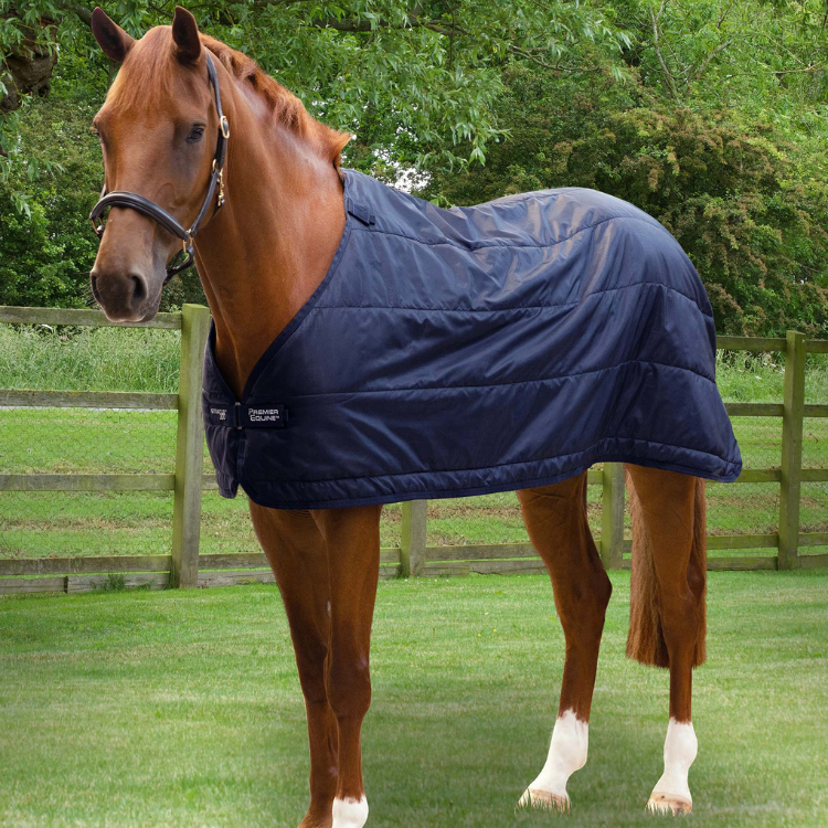 Sous Couverture Premier Equine Stratus 300g Marine