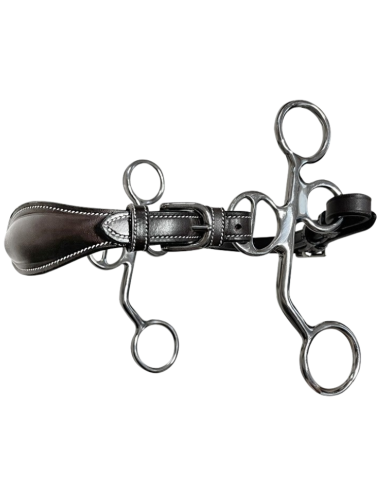 Hackamore Jump'In Cuir Branches Courtes Poney Havane
