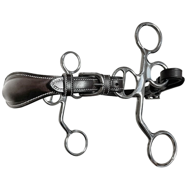 Hackamore Jump'In Cuir Branches Courtes Poney Havane
