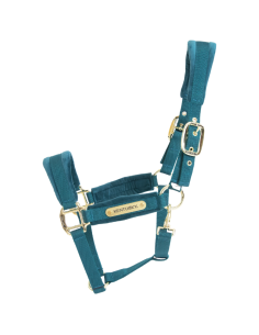 Licol Kentucky Velvet Noir 2