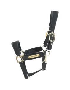 Licol Kentucky Velvet Noir