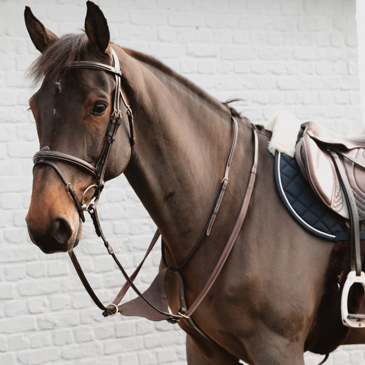 Martingale Pleine Dy'on En Cuir Soft Brun