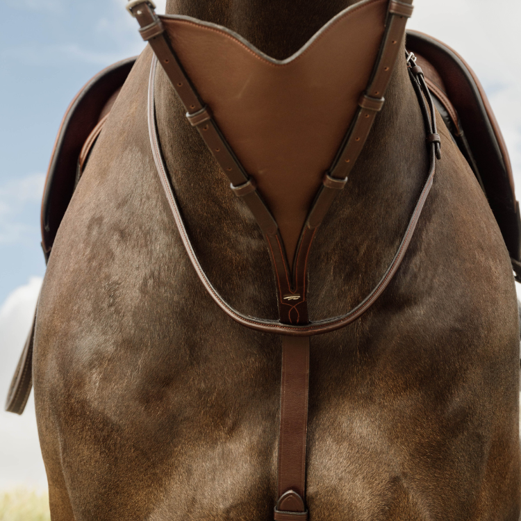 Martingale Pleine Dy'on En Cuir Souple NEC Brun