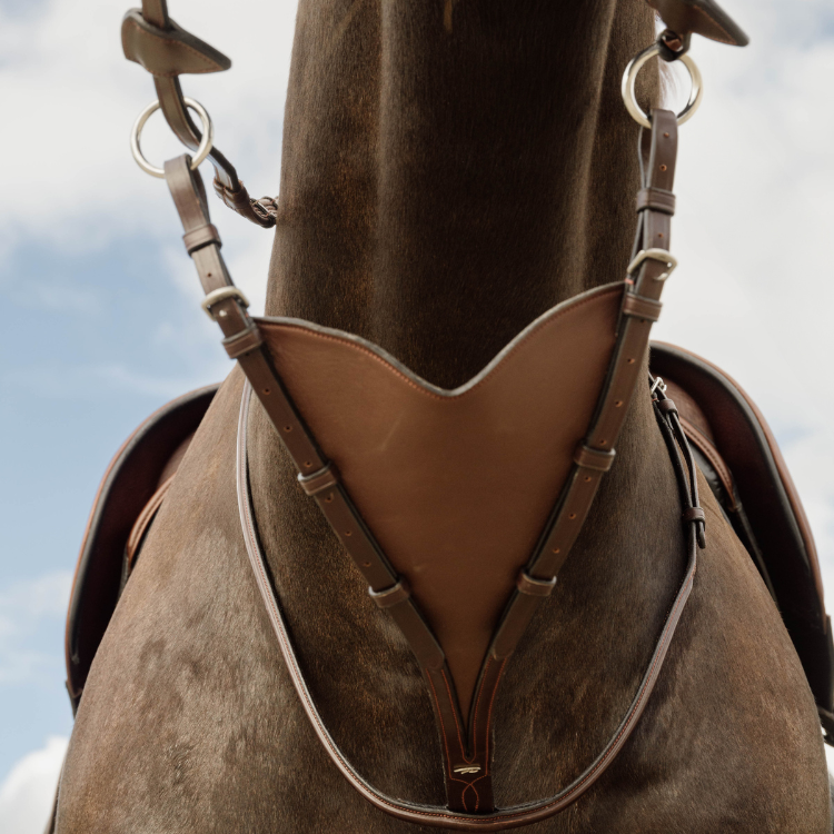 Martingale Pleine Dy'on En Cuir Souple NEC Brun