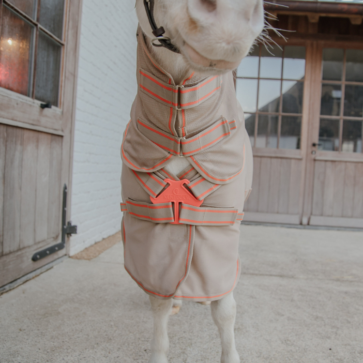 Couverture Anti-Mouches Kentucky Comfort Beige/orange