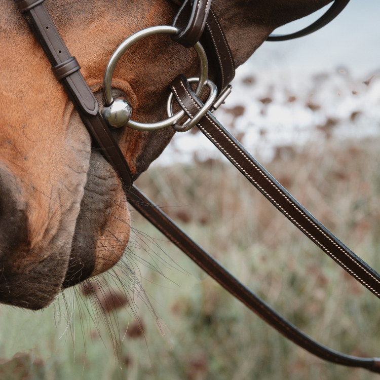 Rênes De Cavalerie ExionPro Mixte Corde Et Cuir - Avec Anneau De Circonférence - Neuf