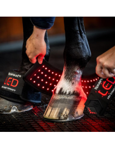Mini Guêtre De Thérapie Horseware Lumière Rouge LED