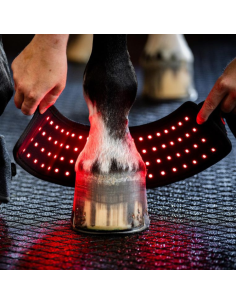 Mini Guêtre De Thérapie Horseware Lumière Rouge LED 2