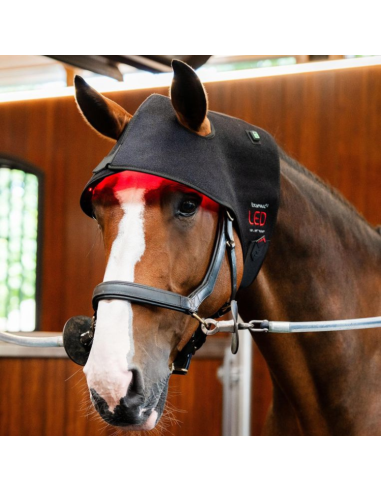 Bonnet De Thérapie Horseware Lumière Rouge LED