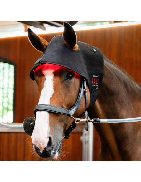 Bonnet De Thérapie Horseware Lumière Rouge LED