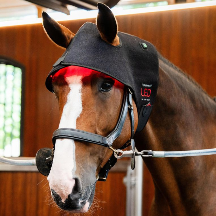 Bonnet De Thérapie Horseware Lumière Rouge LED
