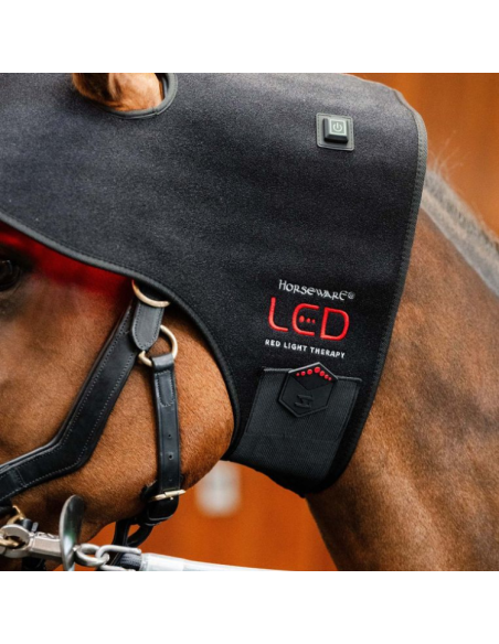 Bonnet De Thérapie Horseware Lumière Rouge LED