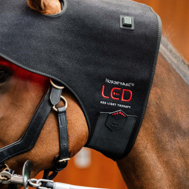 Bonnet De Thérapie Horseware Lumière Rouge LED
