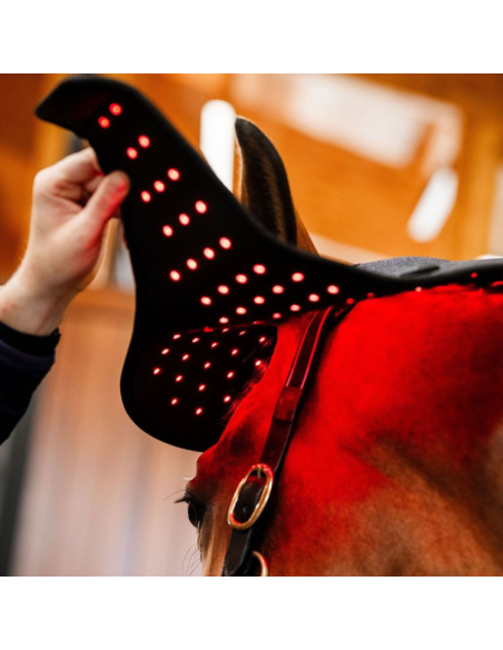 Bonnet De Thérapie Horseware Lumière Rouge LED