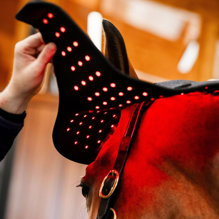 Bonnet De Thérapie Horseware Lumière Rouge LED