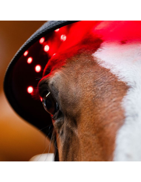 Bonnet De Thérapie Horseware Lumière Rouge LED
