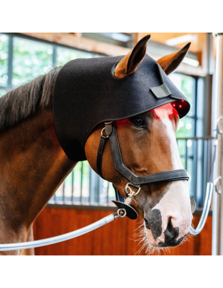 Bonnet De Thérapie Horseware Lumière Rouge LED