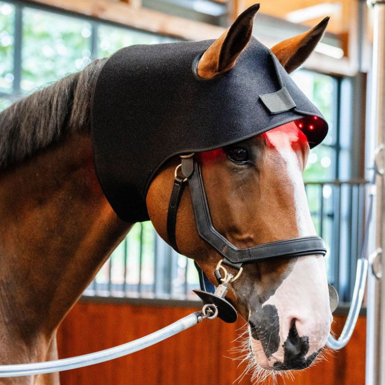Bonnet De Thérapie Horseware Lumière Rouge LED
