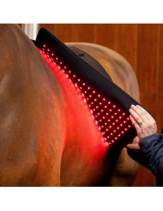 Tapis De Thérapie Horseware Lumière Rouge LED