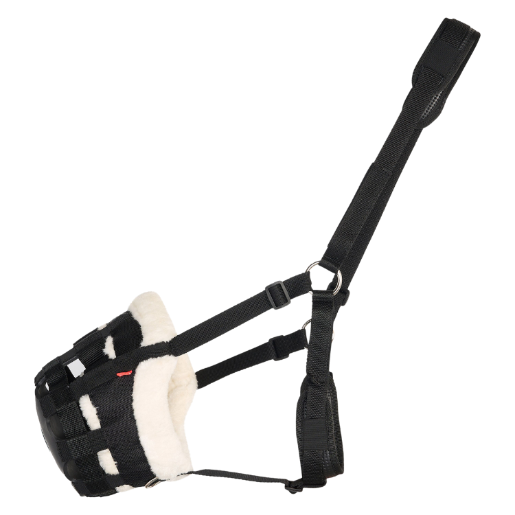 Panier Imperial Riding Avec Mouton