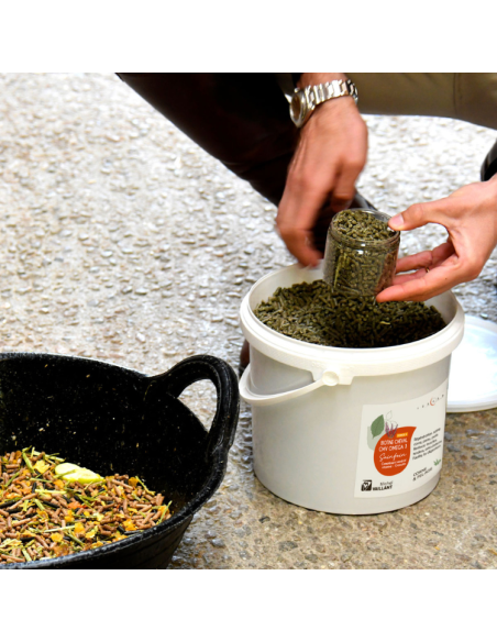 Biotine Michel Vaillant Cheval CMV Oméga 3 Force 4 Granulés