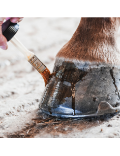 Huile Bio Michel Vaillant HydratoPresto Coco Force 1 2