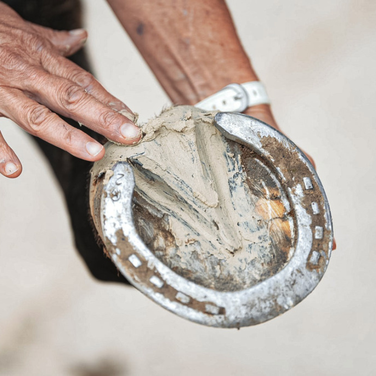 Argile Ravene Pour Sabot Pediplast 700g