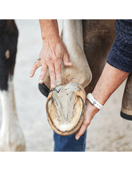 Argile Ravene Pour Sabot Pediplast 700g