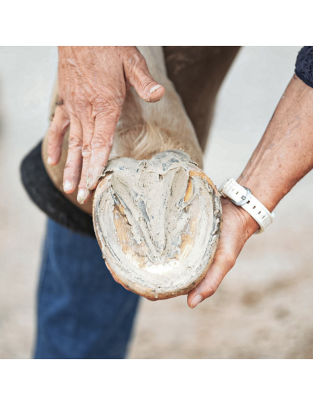 Argile Ravene Pour Sabot Pediplast 700g